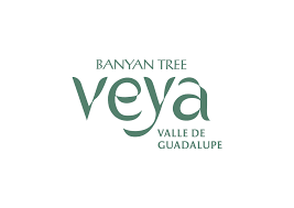 Banyan Tree Veya Valle de Guadalupe